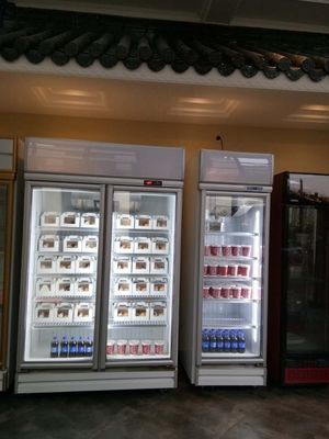 500L Glass Door Supermarket Upright Display Freezer